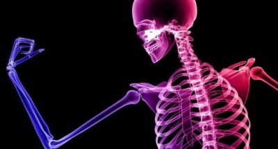 Bone-Health-blog
